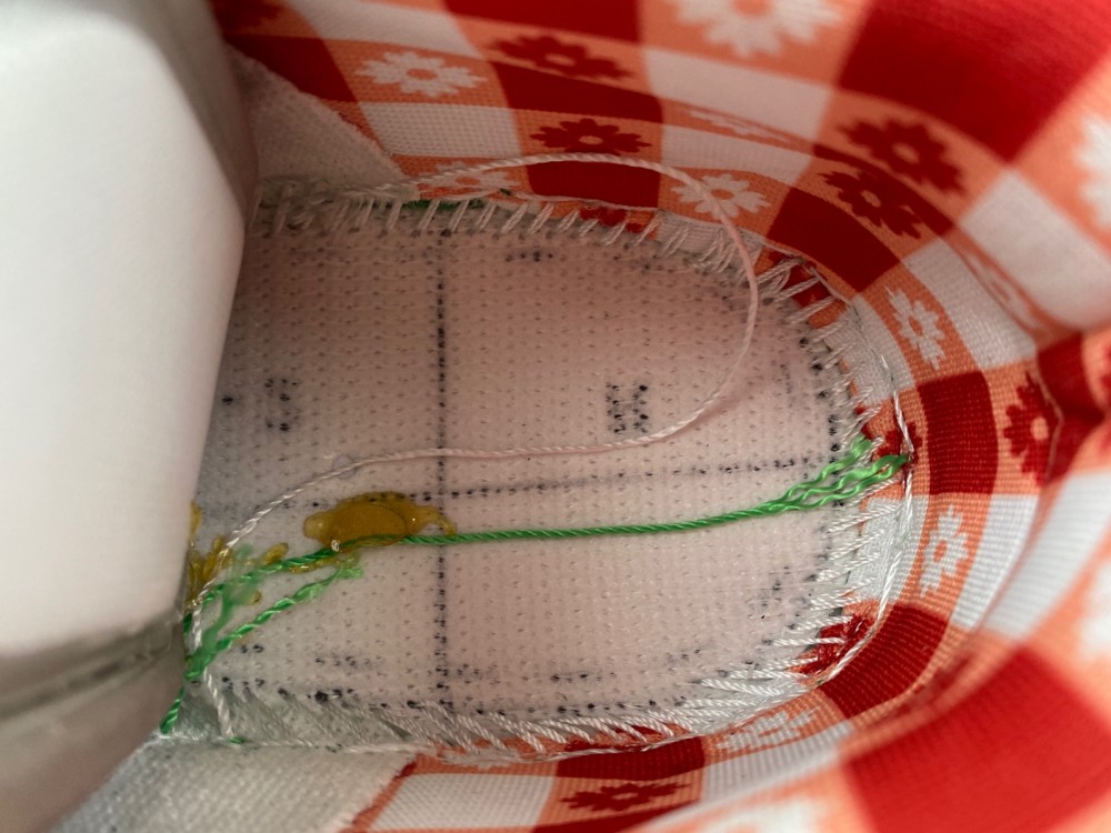 Concepts x Nike SB Dunk Low BV1310-303