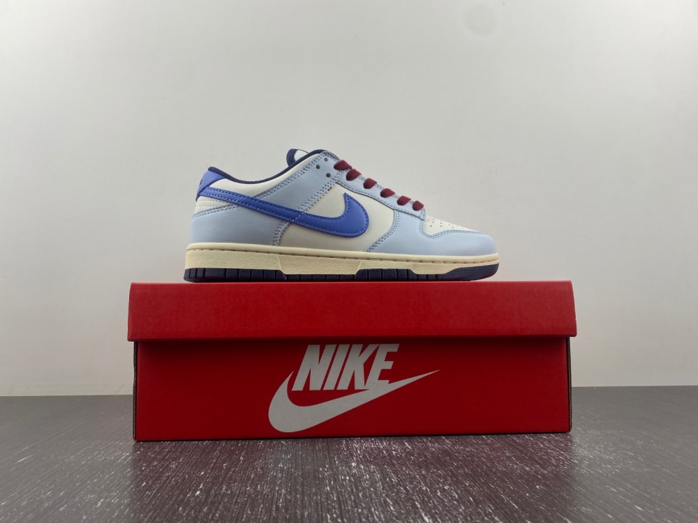 Nike Dunk Low “From Nike To You”FV8113-141