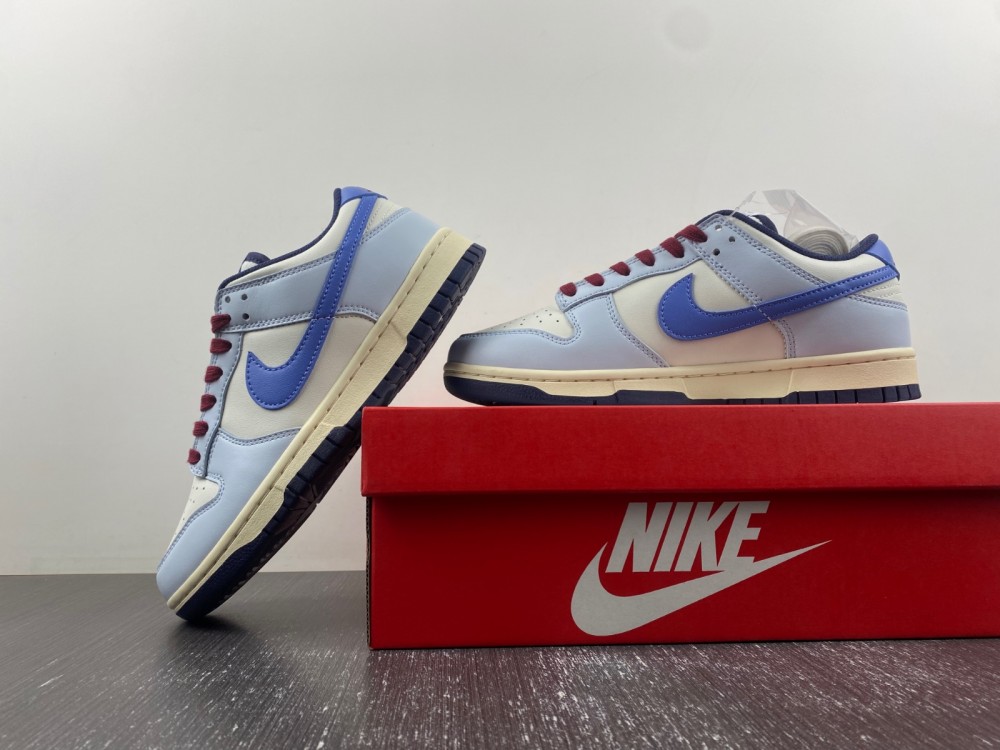 Nike Dunk Low “From Nike To You”FV8113-141