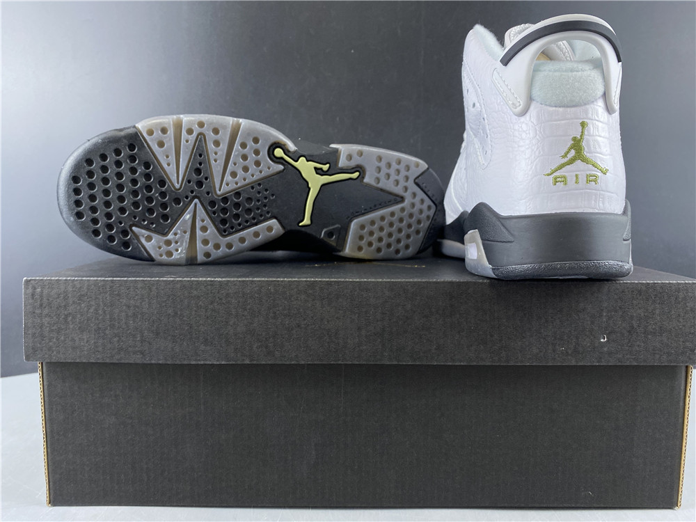 Air Jordan GS Retro Alligator