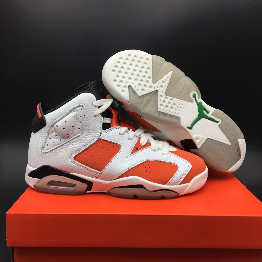 Air Jordan 6 “Gatorade”