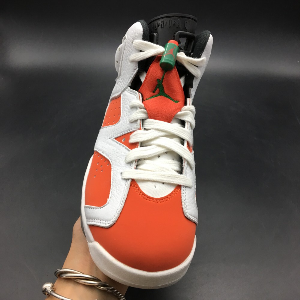 Air Jordan 6 “Gatorade”
