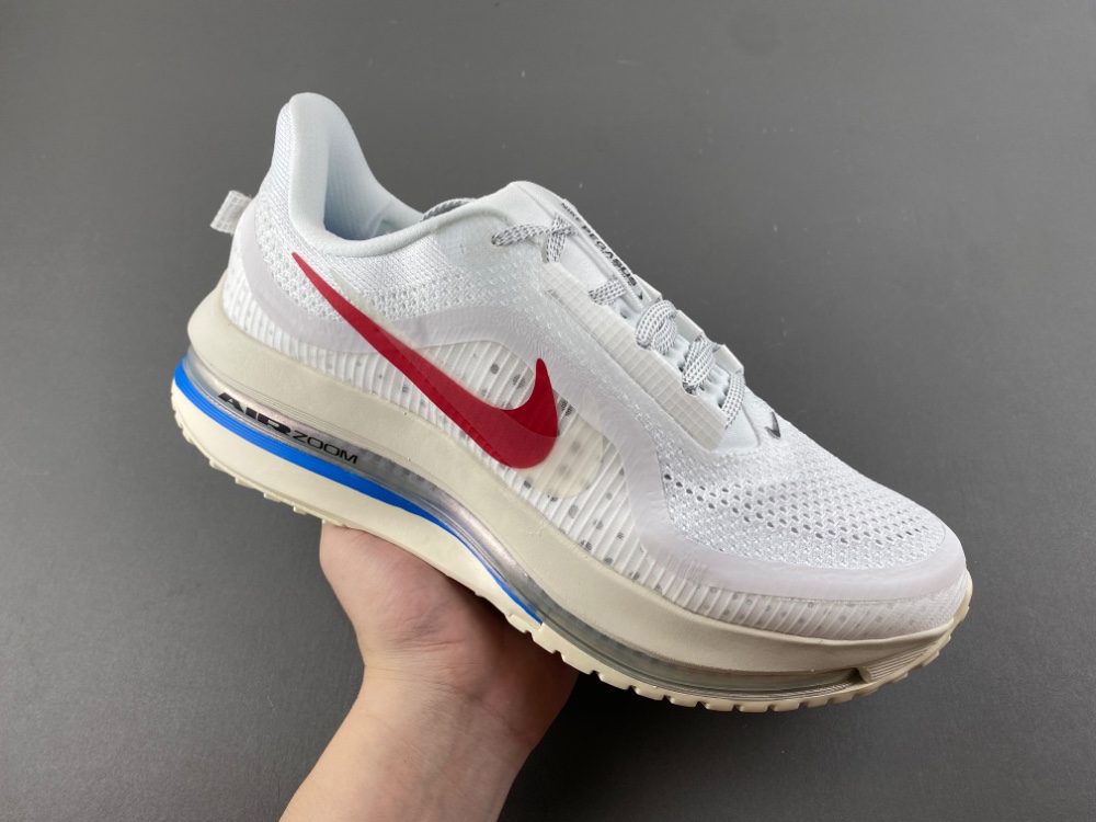 Nike Pegasus Premium 