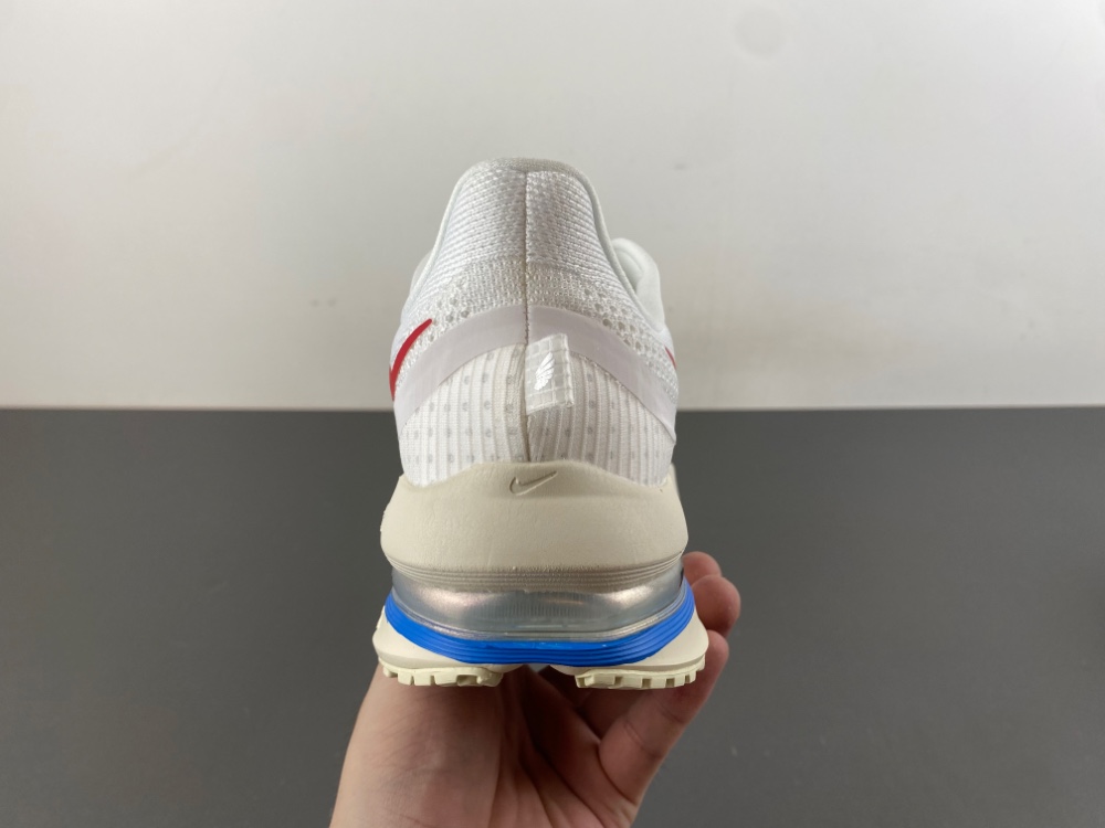 Nike Pegasus Premium 